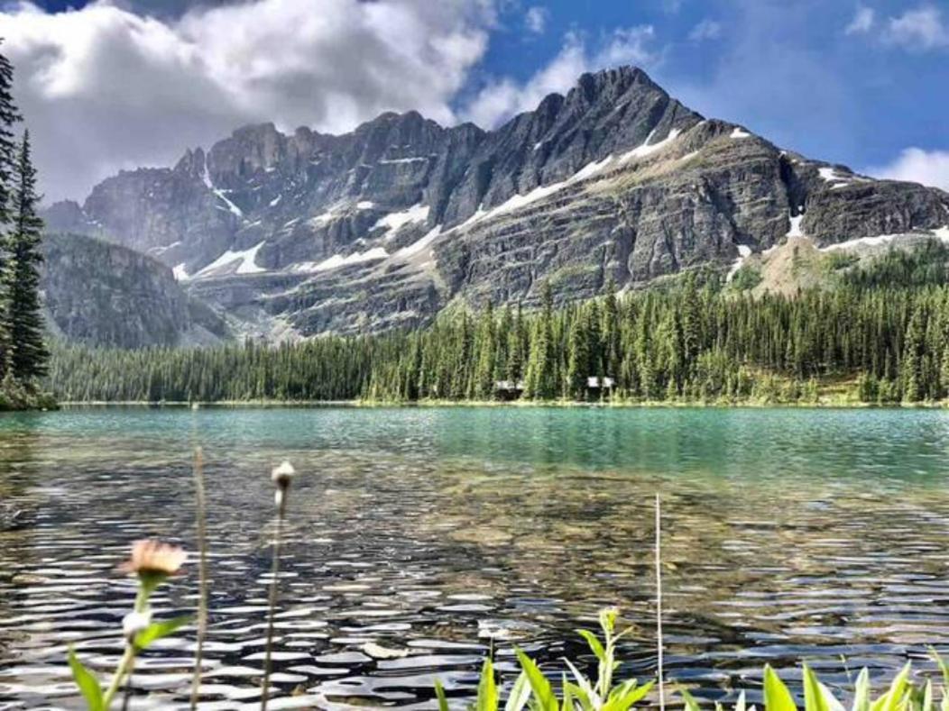 Falcon Crest Lodge 1 Bedroom Condo With Gym & Hot-Tubs & Mountain View Canmore Eksteriør bilde